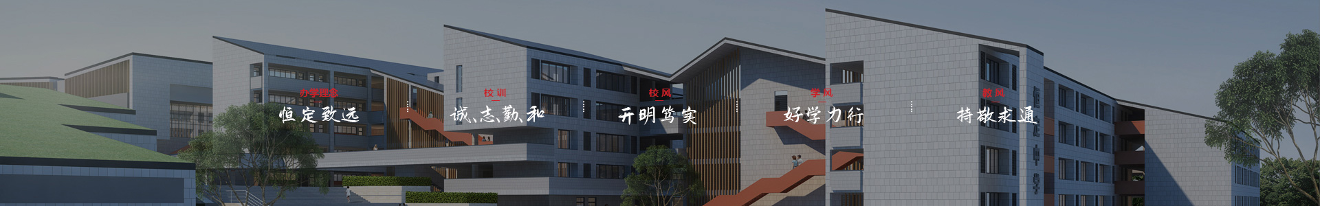 球速体育平台